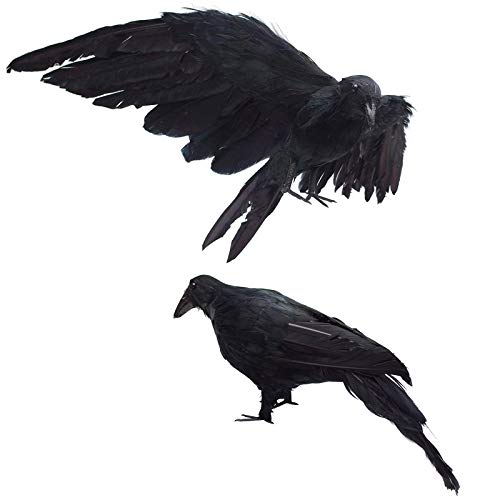 Realistic Black Feathered Crow Decor - Lifesize Halloween Props - 13in & 12in - L Variation