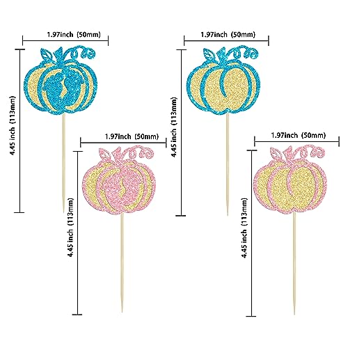 Blue Pink Pumpkin Cupcake Toppers 24Pcs Baby Shower Halloween Birthday Decor - Variation of F