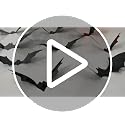 Halloween Bat Stickers - 60 Waterproof Reusable Wall Decals for Holiday Decor