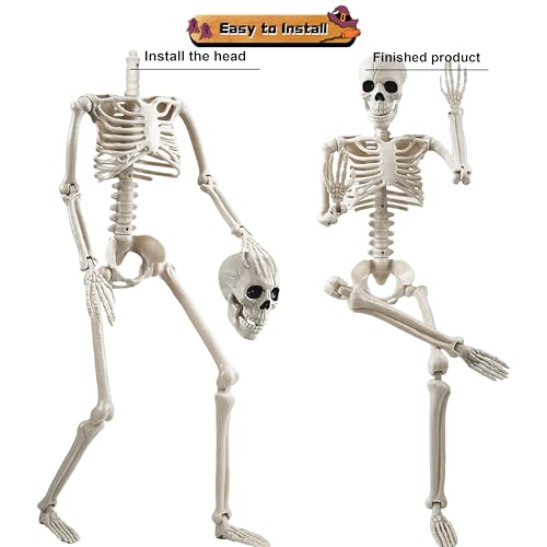 Halloween Skeleton Decoration Set - Life Size Posable Human Skeletons 4 Pack