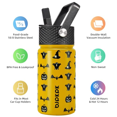 Insulated Water Bottle 15oz Stainless Steel with Straw Lid - Halloween Variation