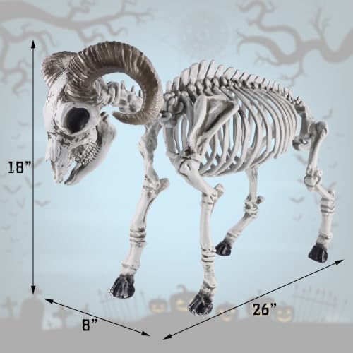 Halloween Skeleton Goat Decoration - 26 Inch Animal Skeleton for Haunted Decor - Variation: Goat