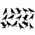 Halloween Crow Banners Hanging Paper Garlands for Party & Haunted House Decor - 2 Pack