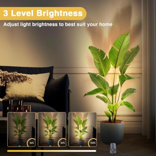 2 Pack Indoor RGBW LED Up Lights with Remote - 6W Floor Spotlight for Halloween & Home Decor