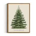 Framed Botanical Fir Pine Tree Wall Art - Winter Holiday Decor, 16x12 Inch - Variation of Fir Pine Tree / 16"L x 12"W