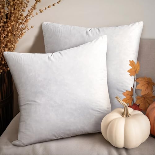 Set of 2 Square Feather Down Decorative Throw Pillows - Halloween & Christmas Customizable Home Decor