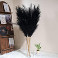 8pcs Faux Black Pampas Grass Stems - 55 Inches Tall, Ultra-Fluffy, No Assembly