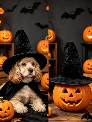 Halloween Witch Hat for Women - Ruched Wizard Costume Accessory