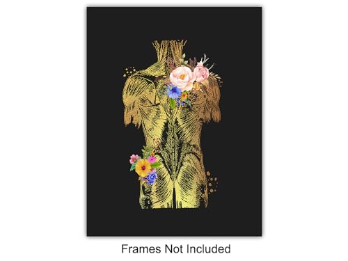 Human Anatomy Poster 11x14 Inches - Nurse & Medical Wall Art - Unframed Decor for Hospital & Office - Variation of THIS listing