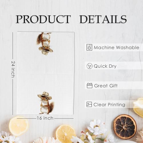 Squirrel Kitchen Towels - Wildlife Decor Dish Hand Towels for Kitchen & Bathroom - 16x24 Inch Squirrel Variation