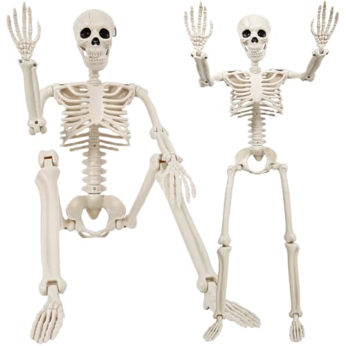 3Ft Halloween Skeleton Decorations Outdoor - Life Size Posable Skeletons Bone White 2 Pack
