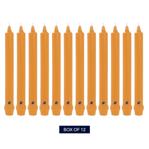 Unscented Caramel Taper Candle - Classic Collection, 10 Inch, Pack of 12