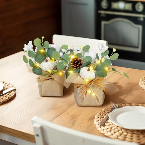 Autumn Fall Decorations Set with Pumpkins Eucalyptus & LED Lights for Thanksgiving & Table Centerpieces