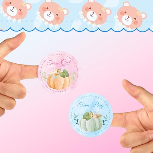 72pcs Pumpkin Gender Reveal Stickers - Team Boy & Team Girl Fall Party Decorations - Style 1