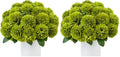 Artificial Green Chrysanthemum Flowers Ball Set - 12 Pcs for Decor & Centerpieces - Pack of 2
