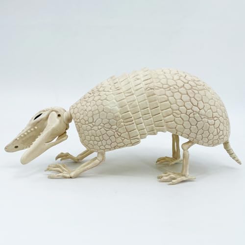 Armadillo Skeleton Halloween Decoration - Realistic Wildlife Scene, 14x4x6.25 Inches