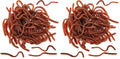 Fake Earthworm Set - 7.1 Inch Soft Stretchy Rubber Worms for Halloween & Pranks, Pack of 2