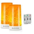 LED Flame Lights with Remote & Timer - Flameless Candles for Indoor & Outdoor Decoration (2 Pack)