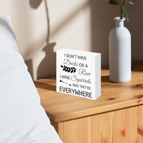 Funny Wooden Desk Sign - Squirrel Lover Office Decor Gift