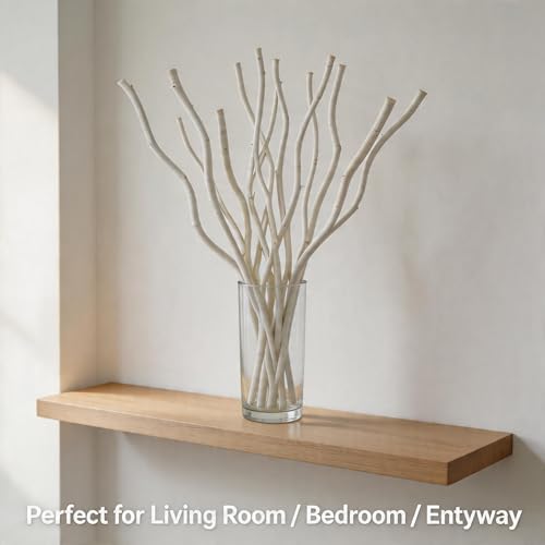 White Dried Curly Willow Branches - 15 Stems, 18-19 Inch Natural Birch Decor