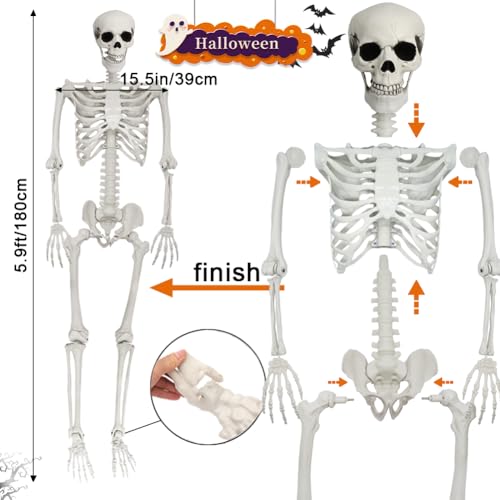 5.9FT Poseable Life Size Skeleton for Halloween Garden Party Decoration - 1 PCS