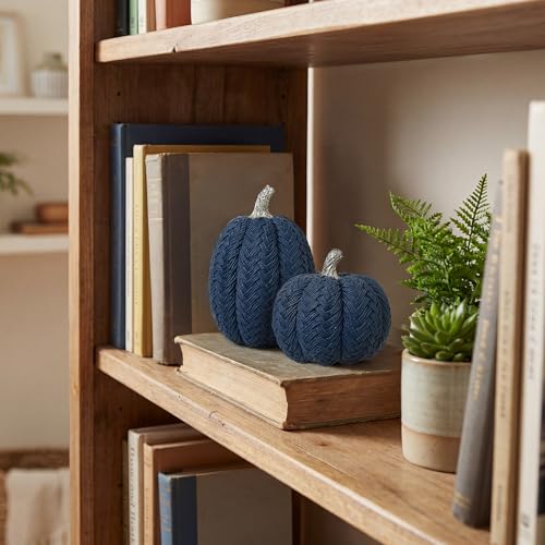 Blue Fall Pumpkins Set of 2 - Small Resin Braided Autumn Table Decor