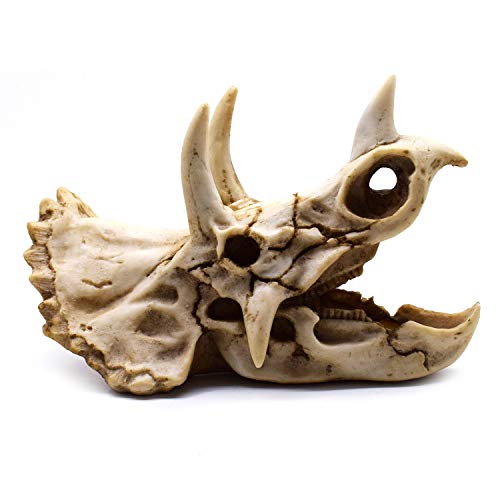 Resin Dinosaur Skeleton Triceratops Model - Decorative Home & Office Display