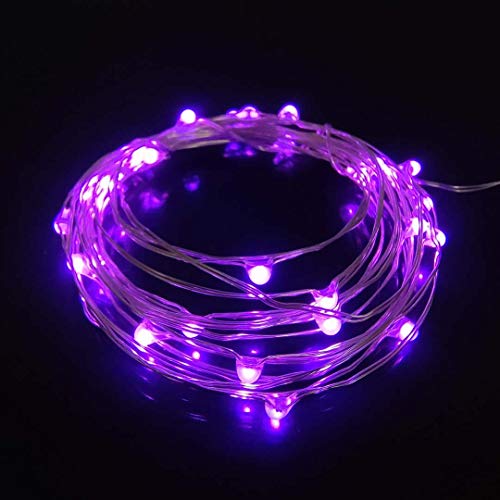 Purple Dewdrop LED String Lights with Timer Function, 10ft, 30 Micro LEDs, Indoor Use
