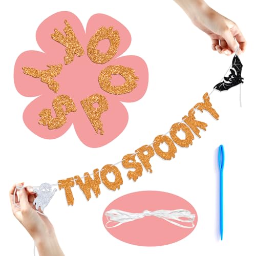 Halloween 2nd Birthday Banner - Spooky Hello Boo Bat Decorations for Kids