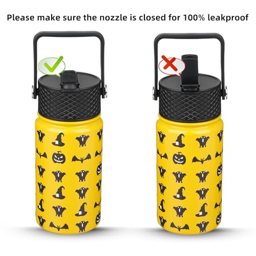 Insulated Water Bottle 15oz Stainless Steel with Straw Lid - Halloween Variation
