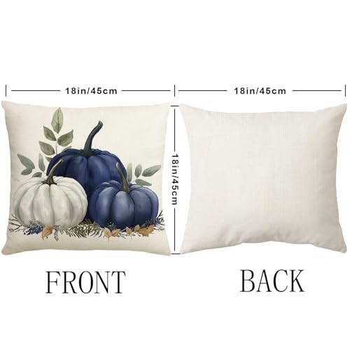 Blue Fall Pumpkin Pillow Covers Set of 2 - 18x18 Inch Autumn Decor