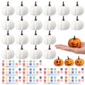 Pumpkin Painting Kit with 20 Mini White Pumpkins & Art Supplies for Fall Crafts