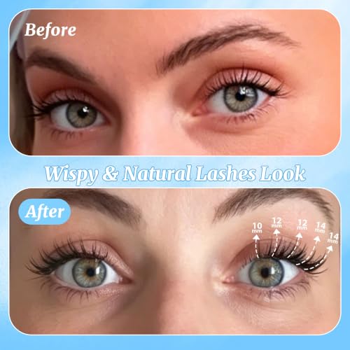Wispy Lash Clusters - Natural Eyelash Clusters 17-C, Reusable & Soft