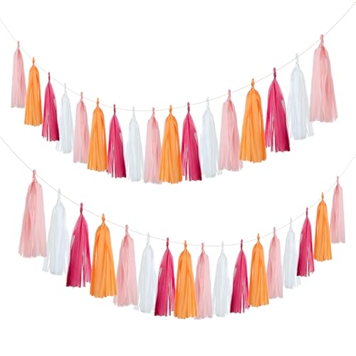 20PCS Tissue Garland and Tassel Decorations for Parties and Events