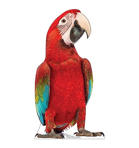 Cardboard People Red Parrot Cardboard Cutout - Life-Size Party & Event Decor