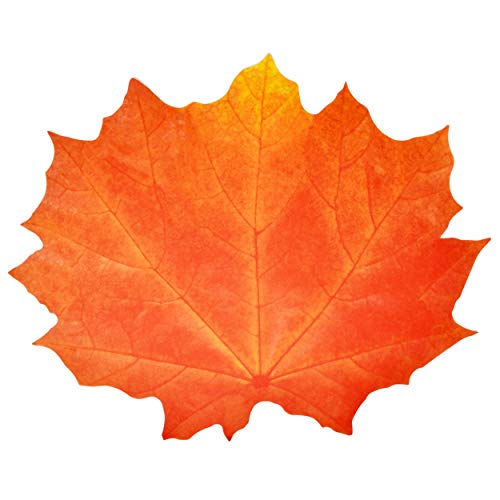 Fall Leaf Place Mats - 48 Orange Maple Disposable Table Decor for Thanksgiving