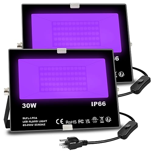 2 Pack LED Black Light Flood Lights 30W Outdoor Glow Party Halloween Fluorescent