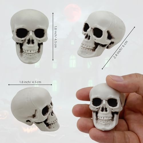 24 Mini Plastic Skull Heads for Halloween Decorations - 2.4 Inch Set of Spooky Skeletons