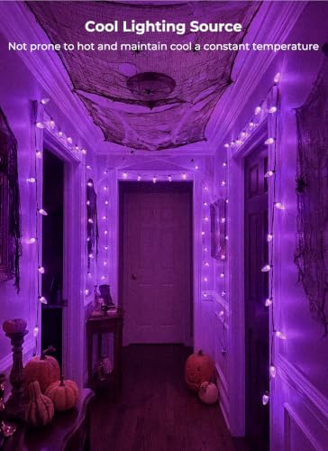 Purple Battery Operated Halloween String Lights - 33ft 50 LEDs, Waterproof with Timer