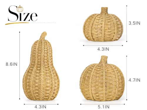3-Piece Wicker Pumpkin Set for Fall Decor - Rustic Autumn Decoration