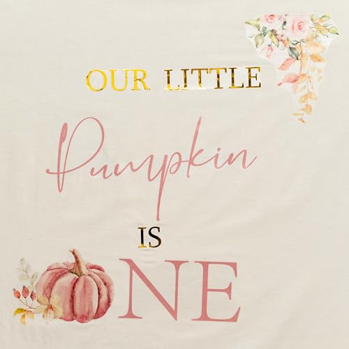 Pink Our Little Pumpkin Is One Fall Birthday Wall Decal - Baby First Celebration