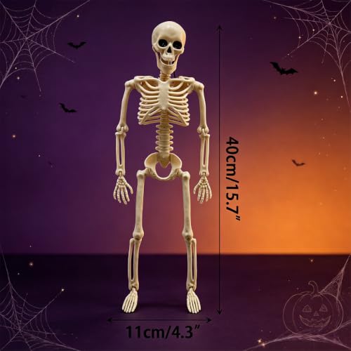 Full Body Halloween Skeleton Decorations - Movable Joints, Hanging or Standing, 16 Inch, Indoor & Outdoor Use
