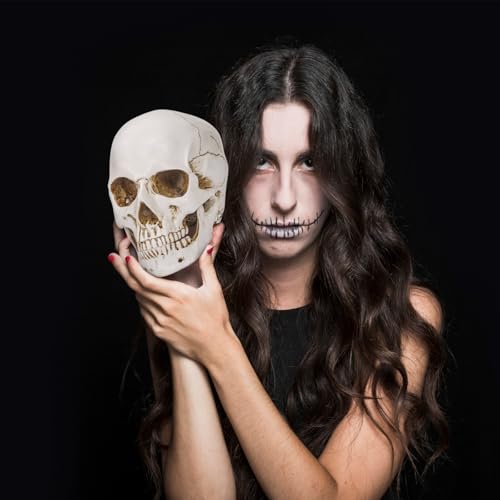 White Resin Skull Sculpture - Life Size Halloween Decor & Artistic Display - Variation of THIS listing