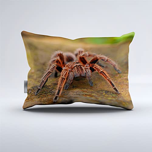 Spooky Spider Tarantula Fitted Sheet Set Queen 3PCS Bedding with Pillowshams