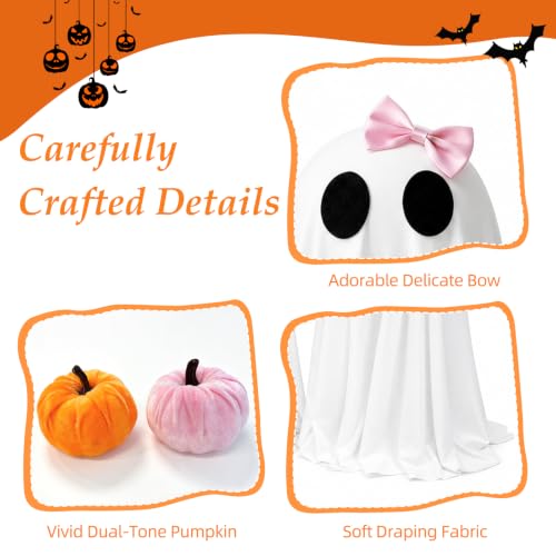 Lighted Ghost Halloween Decorations - Indoor Spooky Spirit Pair with Pumpkins