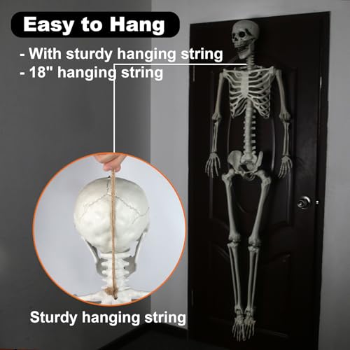 6FT Posable Skeleton Decoration for Halloween Indoor Outdoor - Weatherproof Halloween Prop