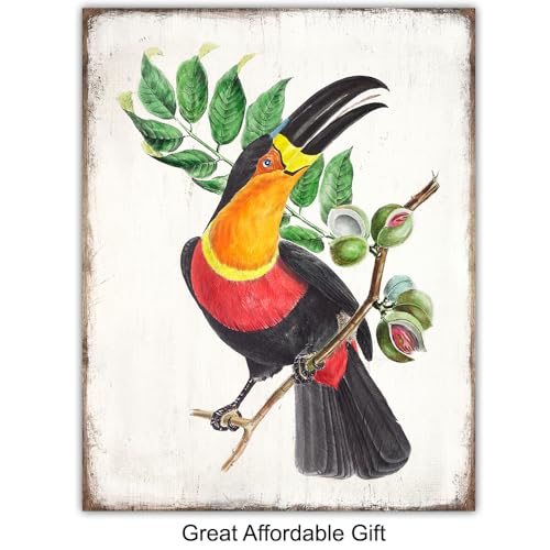 11x14 Tropical Bird Wall Art Set - Exotic Parrot, Lovebird, Toucan & Cockatoo Prints - Unframed Bird Decor - Variation 1