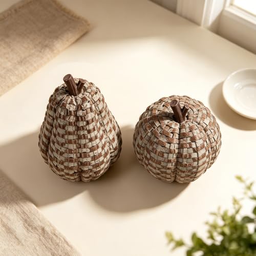Brown Fall Pumpkin Decor Pack - Woven Resin Pumpkins for Indoor & Outdoor