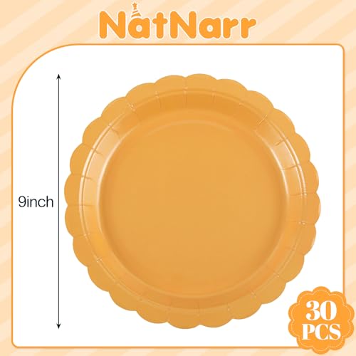 Orange Paper Plates 9 Inch - Fall Thanksgiving Dessert Plates, 30 Pack