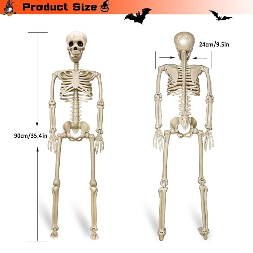 2 Pack 36-Inch Life Size Human Skeletons for Halloween Decorations - Movable Joints, Yard & Party Decor